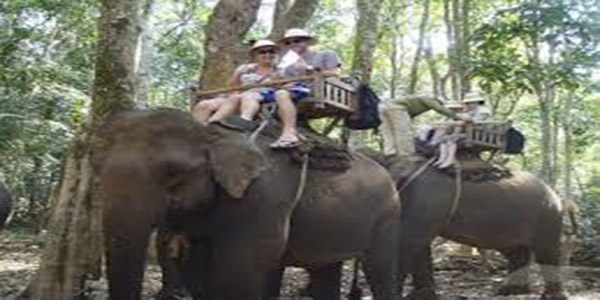 Bali Elephant Camp
