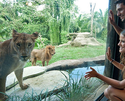Bali-Zoo-park